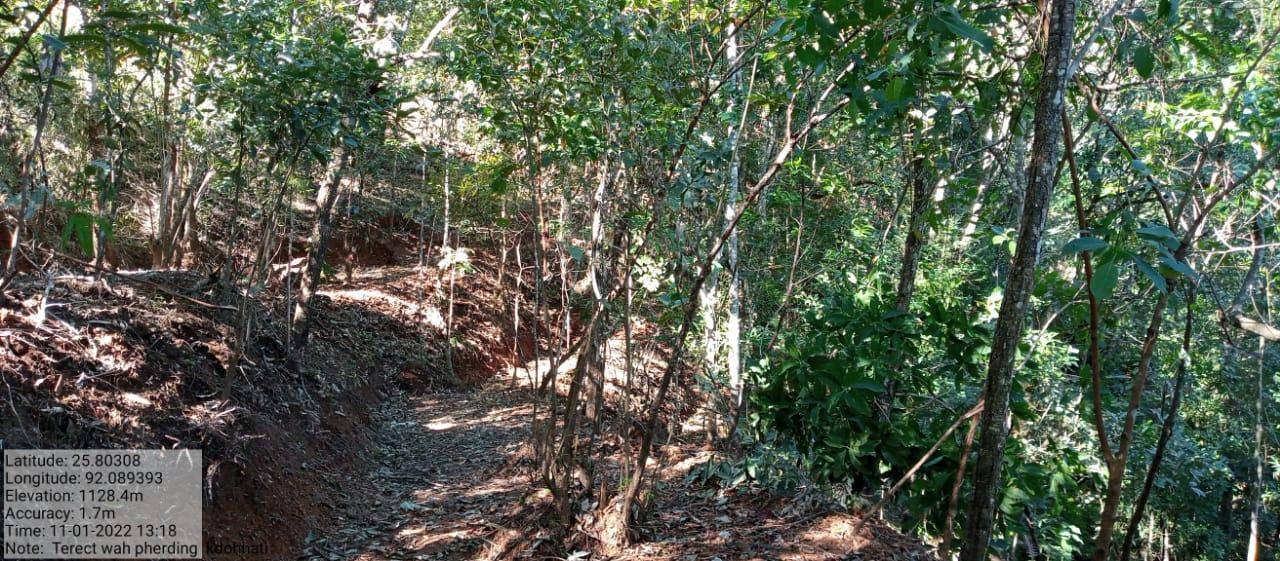 C:\Users\Lavinia Pde\Downloads\WhatsApp Image 2023-02-16 at 17.54.29 (1).jpeg